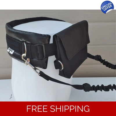 Belt Bag and lead set3